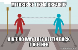 Coronavirus Social Distancing