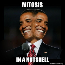 Two Faced Obama