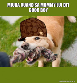 Scumbag dog