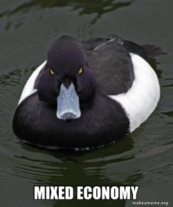 Revenge Duck ( Angry Advice Duck )