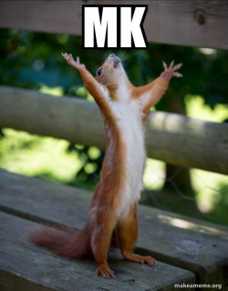 Happy Squirrel