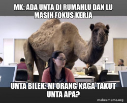Hump Day Camel