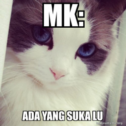 Ridiculously Photogenic Cat