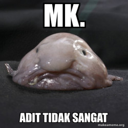 Blobfish