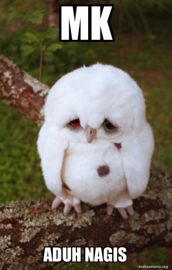 Sad Owl
