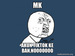 Y U No
