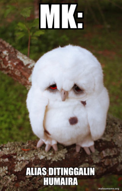 Sad Owl
