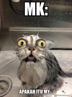 Cat bath