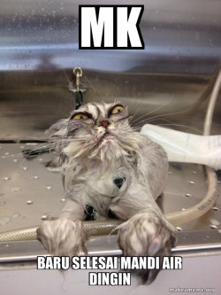 Cat Bath Returns