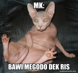 Hairless Cat