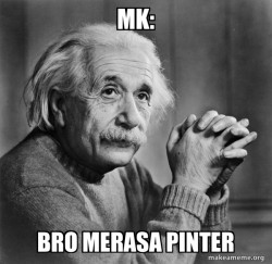 Serious Albert Einstein
