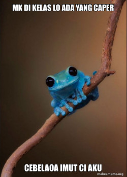 Small Fact Frog