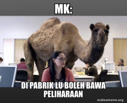 Hump Day Camel