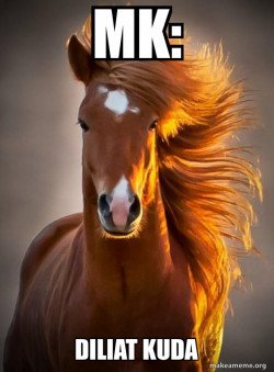 Ridiculously photogenic horse