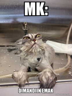 Cat Bath Returns