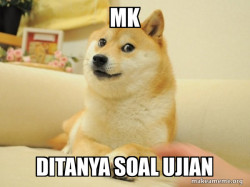 Doge