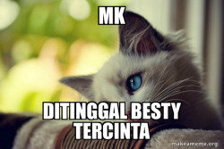 First World Cat Problems