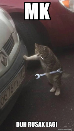 Mechanic Cat