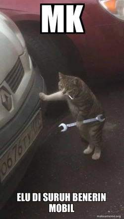 Mechanic Cat