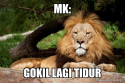 Contemplative Lion