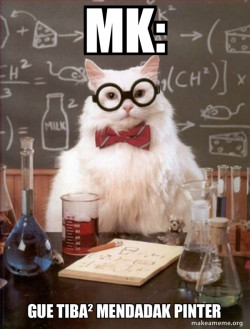 Chemistry Cat