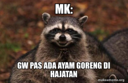 Evil Plotting Raccoon