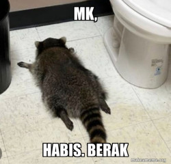 Drunk Raccoon