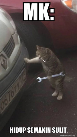 Mechanic Cat