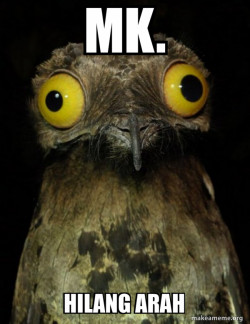 Weird Stuff I do Potoo