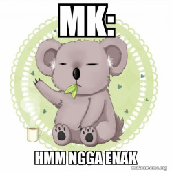  Koala mokel