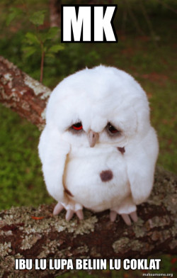 Sad Owl