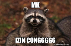 Evil Plotting Raccoon