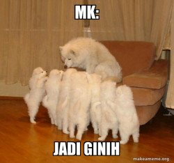 Storytelling Dog