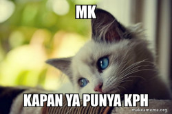 First World Cat Problems