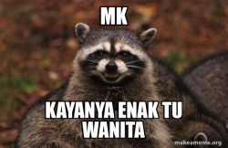 Evil Plotting Raccoon