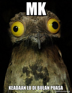 Weird Stuff I do Potoo