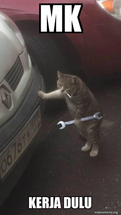 Mechanic Cat