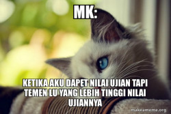 First World Cat Problems