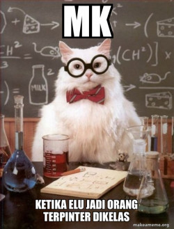 Chemistry Cat