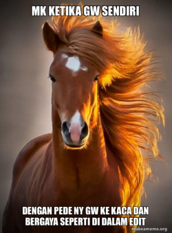 Ridiculously photogenic horse