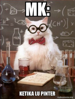 Chemistry Cat