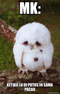 Sad Owl