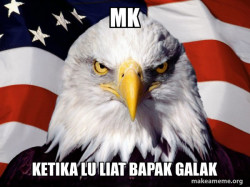 American Pride Eagle