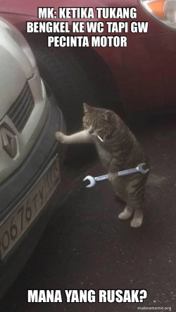 Mechanic Cat
