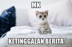 Cute Kitten