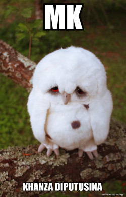 Sad Owl