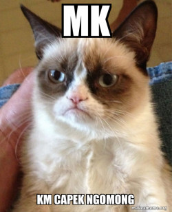 Grumpy Cat