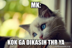 First World Cat Problems
