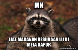 Evil Plotting Raccoon