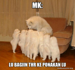 Storytelling Dog